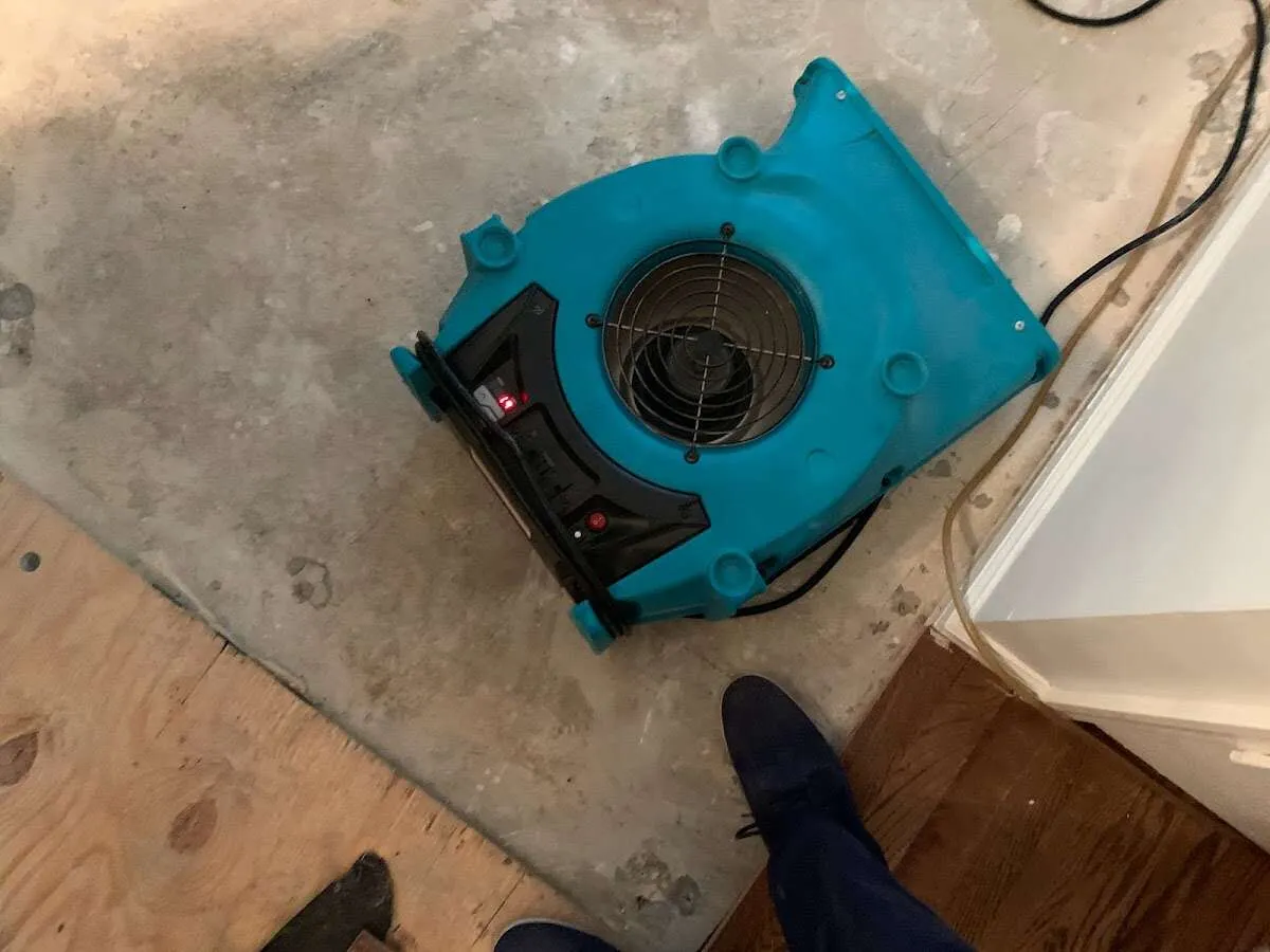 Air mover drying subfloor during Leak Detection & Repair in Old Westbury